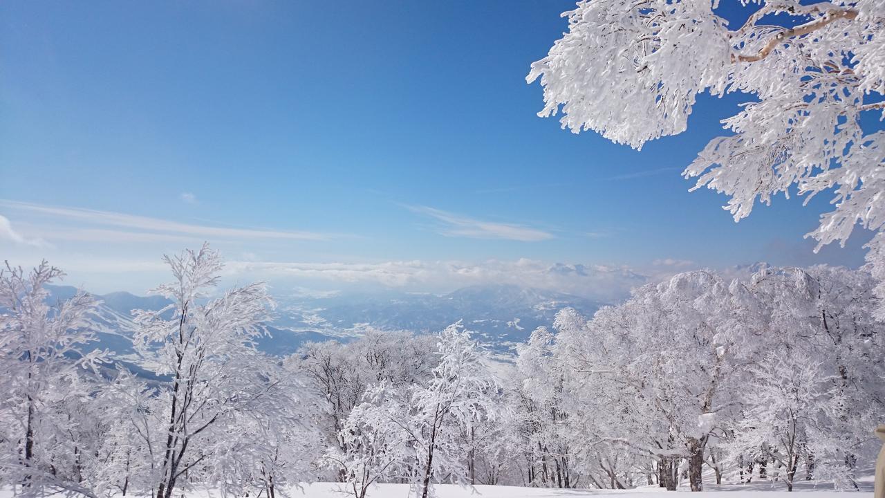 Hotel Nozawa Dream Exterior foto